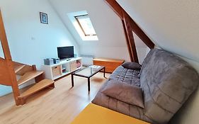 Chez Charlotte, T3 duplex, vue montagne, parking gratuit, ascenseur, 4 personnes